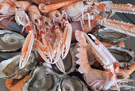 Shrimp and oyster platter